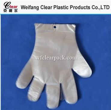 Disposable Surgical PE Gloves, Suitable for Medical Use.jpg