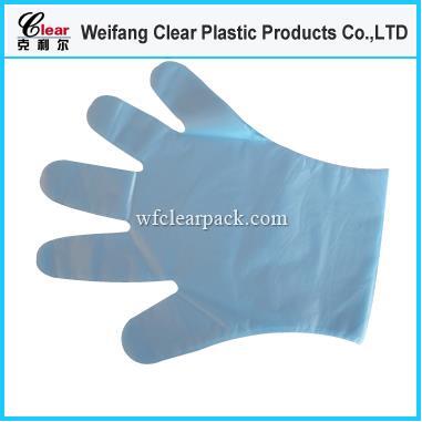 Plastic Disposable Gloves.jpg