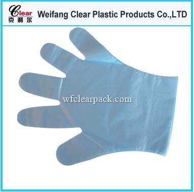 PE Examination Gloves.jpg